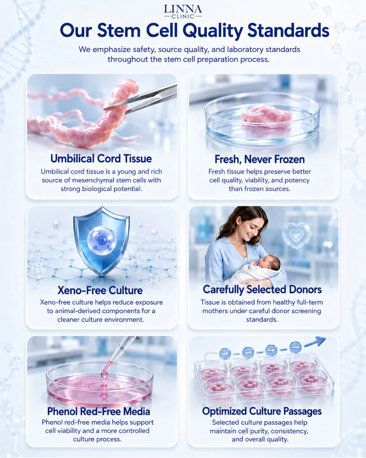 LINNA Clinic stem cell quality standards: cord tissue source, xeno-free culture, donor screening and optimised passages