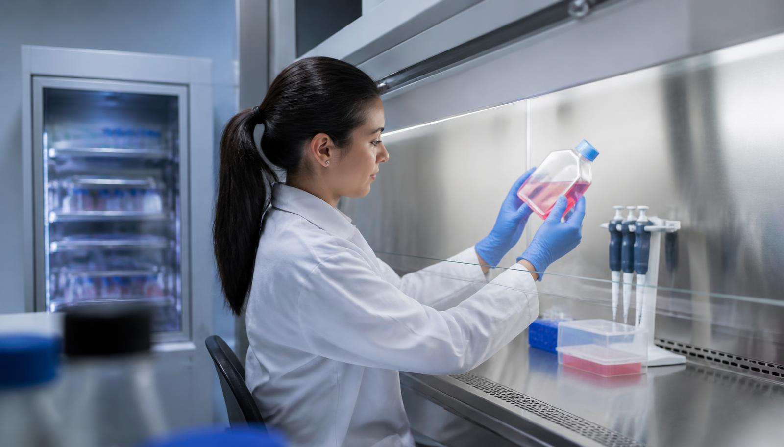 Laboratory cell culture and expansion of immune cells under sterile conditions