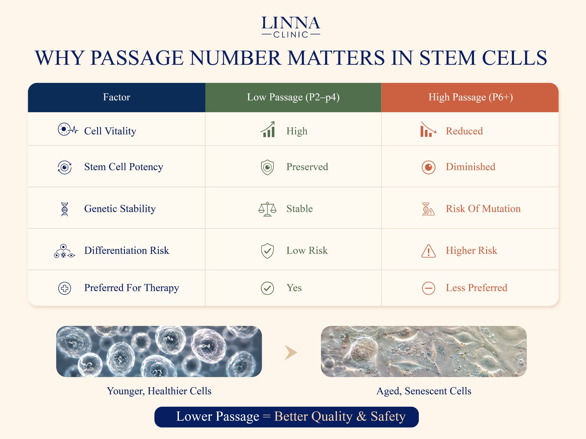 Comparison of low-passage and high-passage stem cells