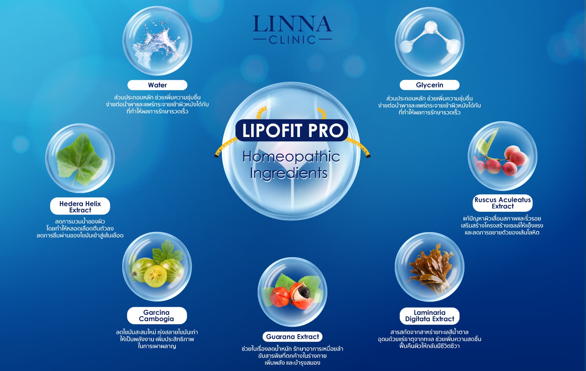 Mesofat Lipofit Pro at LINNA Clinic