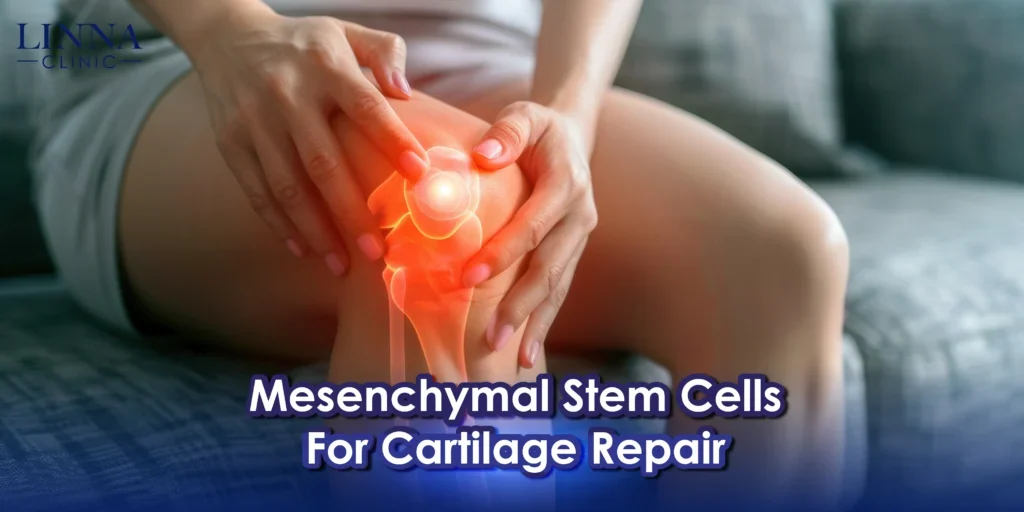 โปรแกรมดูแลข้อเข่าเสื่อมด้วย Stem Cell (Chondrogenic MSC) คืออะไร? ได้ผลจริงหรือไม่ และข้อควรรู้ก่อนทำ
