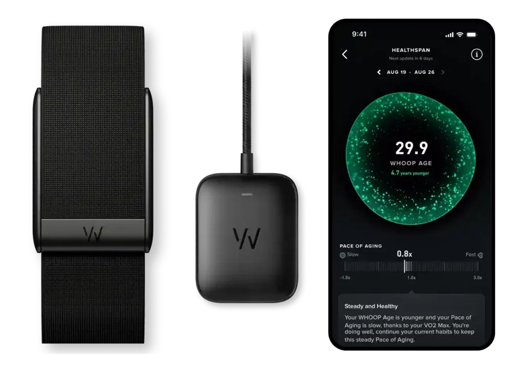 Top 8 smartwatch ที่ สายสุขภาพควรมี