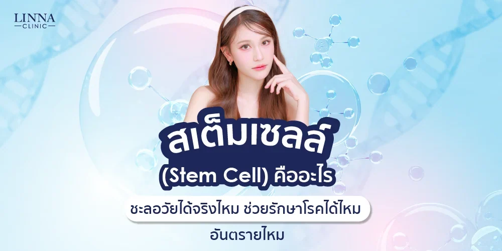 สเต็มเซลล์ คืออะไร ชะลอวัยได้จริงไหม ช่วยรักษาโรคได้ไหม อันตรายไหม